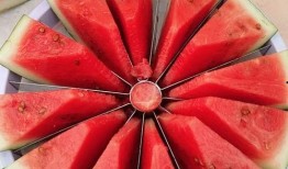 吃瓜每日大赛,年度热门事件盘点，揭秘娱乐圈幕后真相